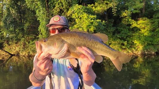 Slow and Sluggish Summer Bass