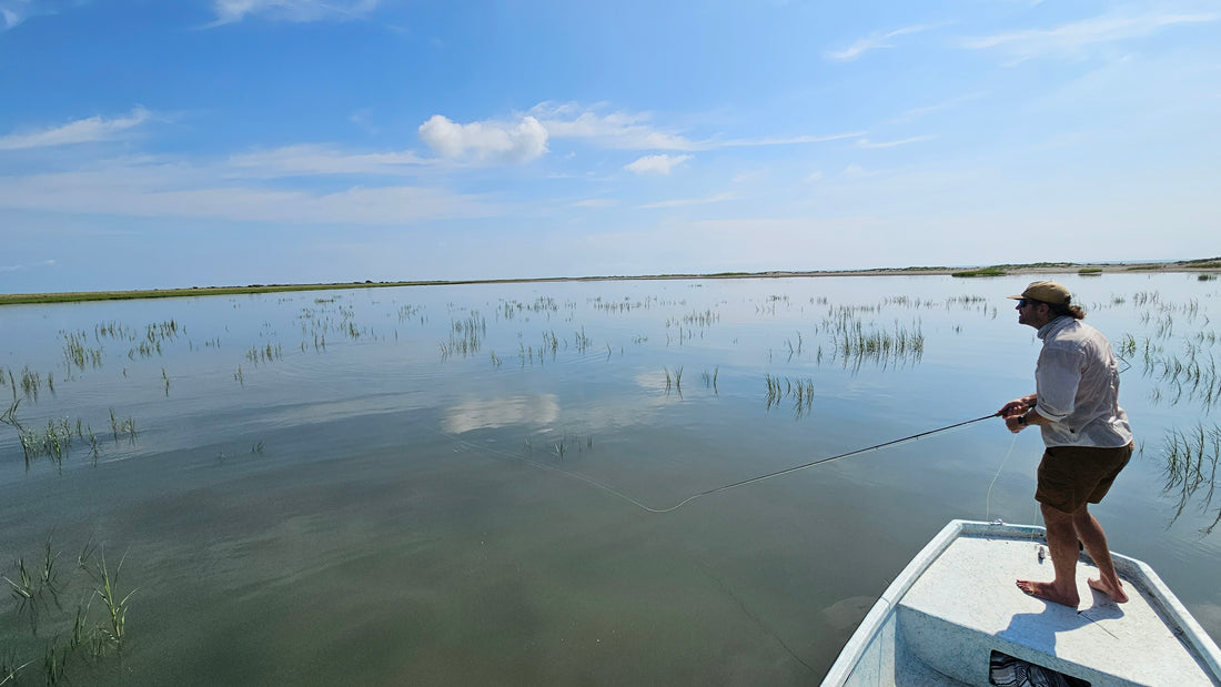 Late July 2024 Fishing Forecast