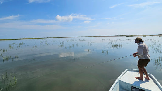 Late July 2024 Fishing Forecast
